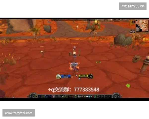 魔兽世界怀旧服：掌握法杖之力，萨满新境界